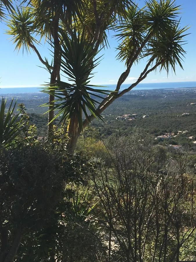 Felicidade Loule Bed & Breakfast